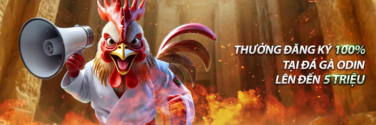 Người dùng đang điều chỉnh cài đặt quyền riêng tư và cookie